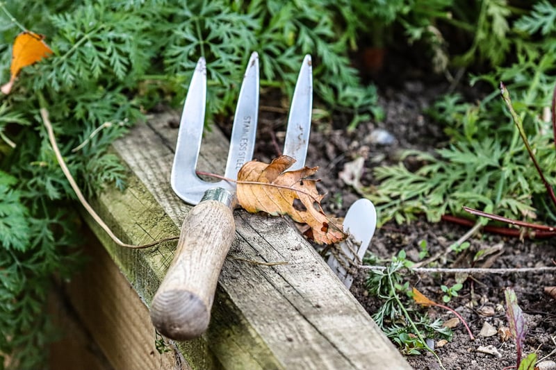 Garden Fork