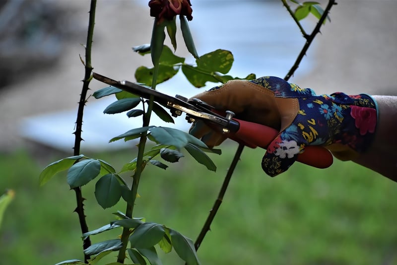 Pruners